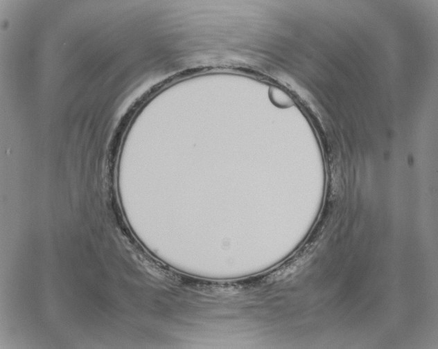 X0000064730975200603131249