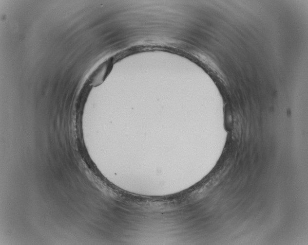 X0000064730976200603131249