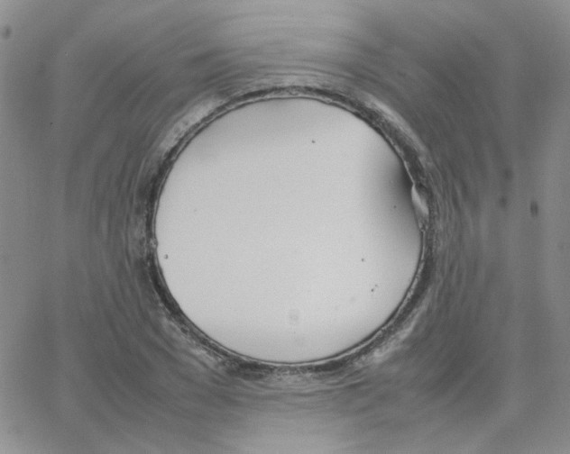 X0000064730977200603131249