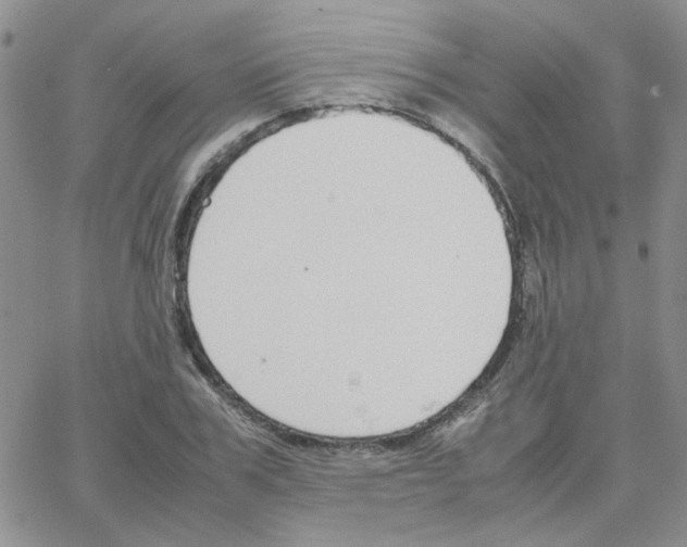 X0000064730979200603131249