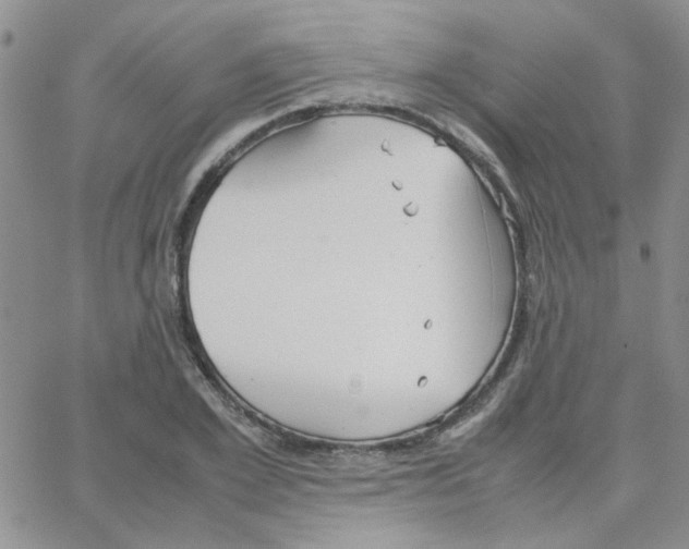 X0000064730981200603131249