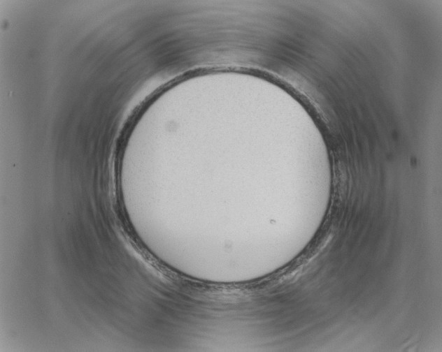 X0000064730982200603131249