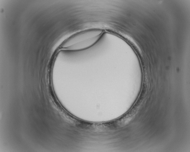 X0000064730983200603131249