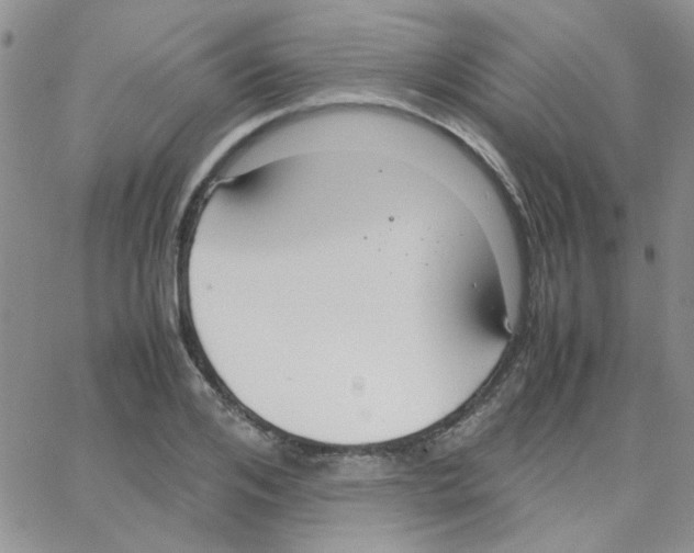 X0000064730984200603131249