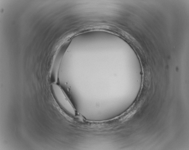 X0000064730985200603131249