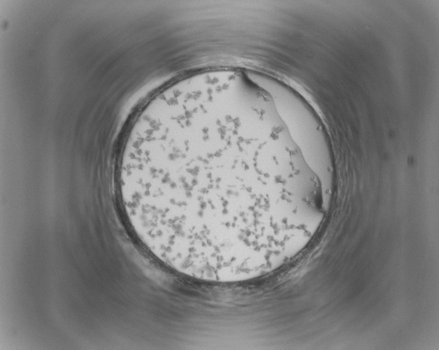 X0000064730987200603131249