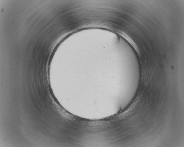 X0000064730988200603131249