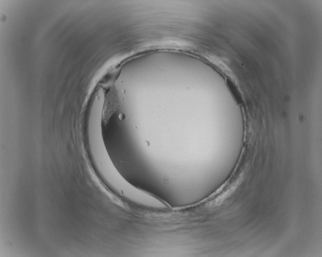 X0000064730989200603131249