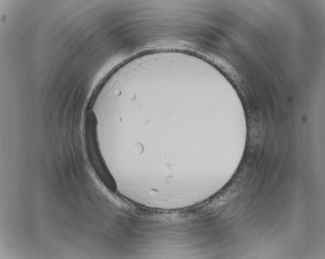 X0000064730990200603131249