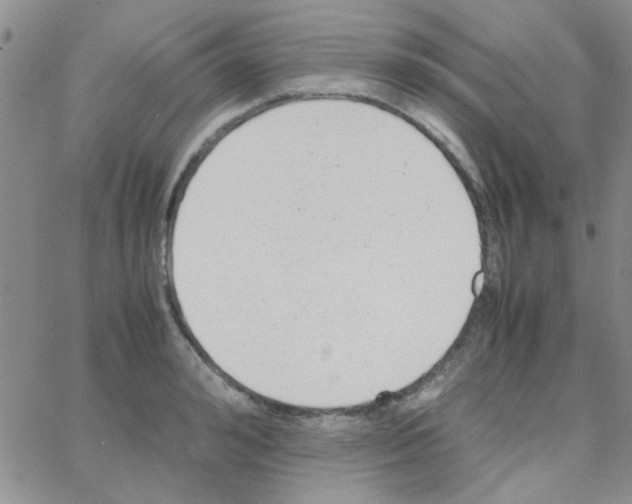 X0000064730992200603131249