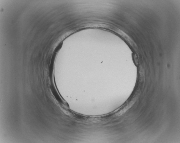 X0000064730993200603131249