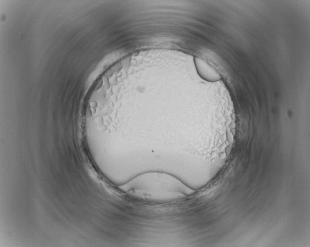 X0000064730994200603131249