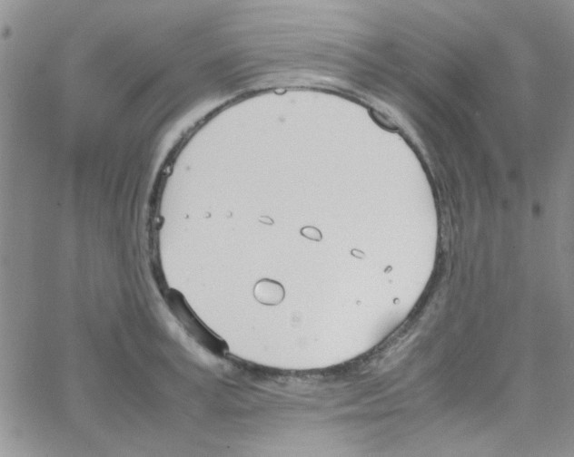 X0000064730995200603131249