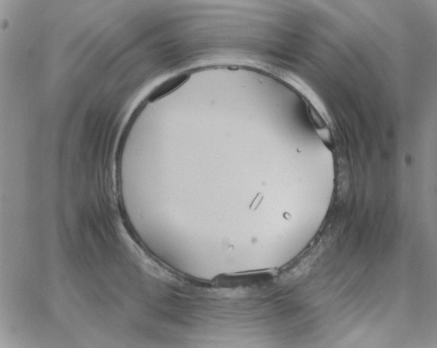 X0000064730996200603131249