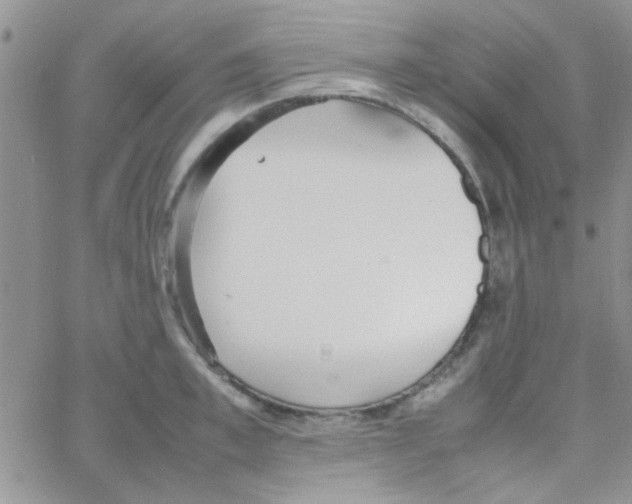 X0000064730997200603131249