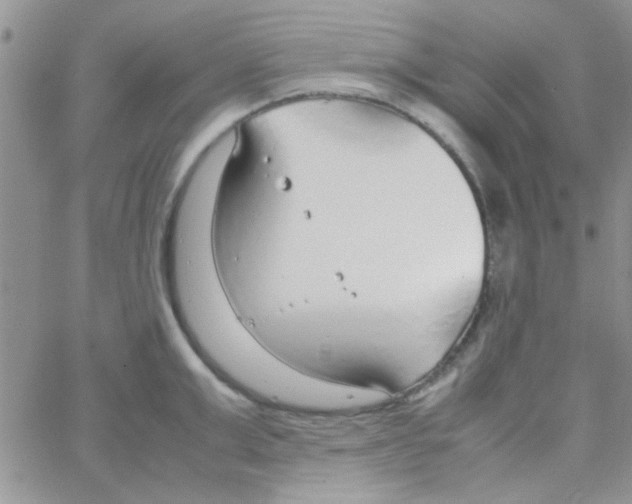 X0000064730999200603131248