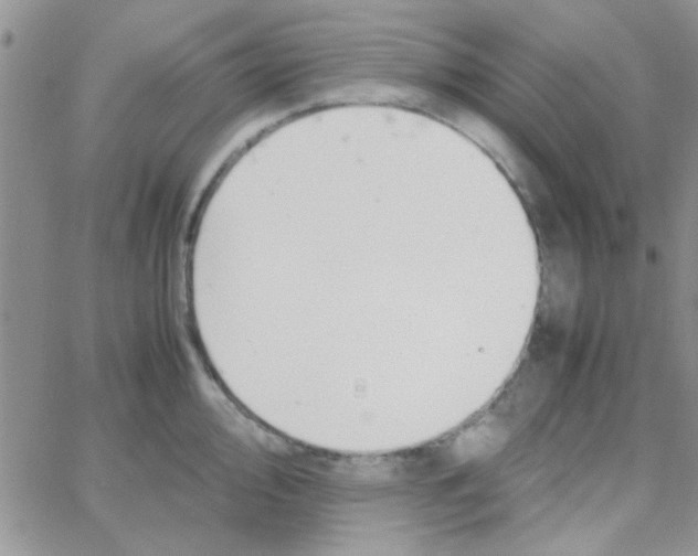 X0000064731000200603131248