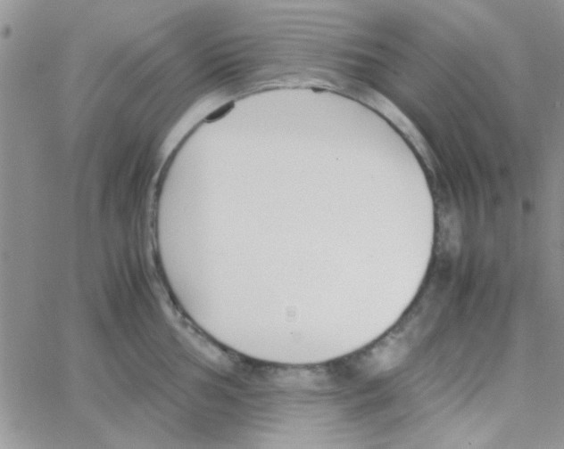 X0000064731002200603131248