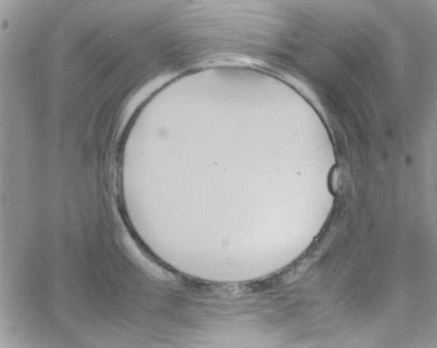 X0000064731003200603131248