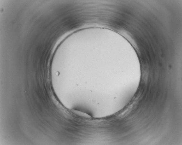 X0000064731004200603131248