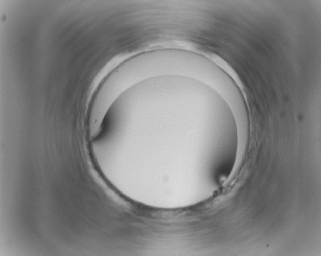 X0000064731005200603131248