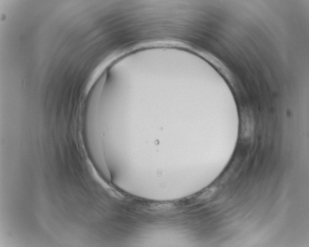 X0000064731006200603131248