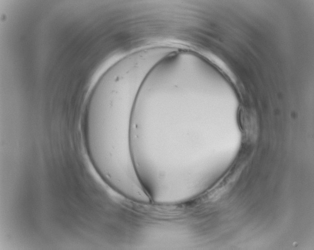 X0000064731007200603131248