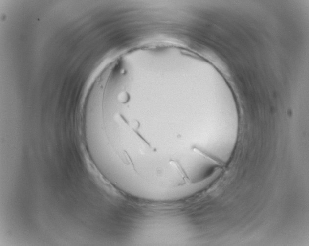 X0000064731008200603131248