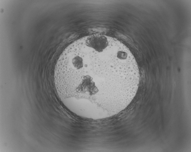 X0000064731009200603131248