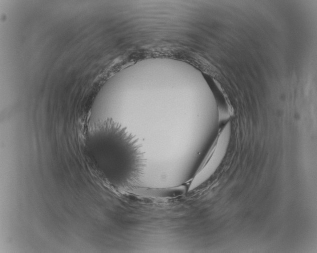 X0000064731010200603131248