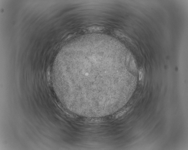 X0000064731011200603131248