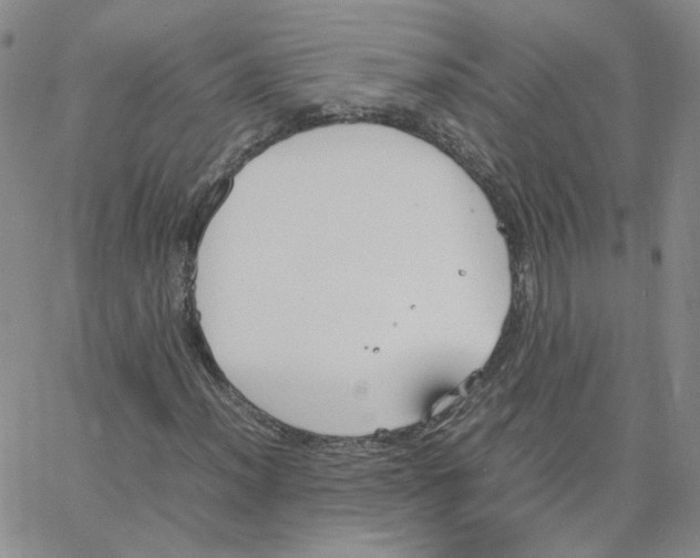 X0000064731012200603131248