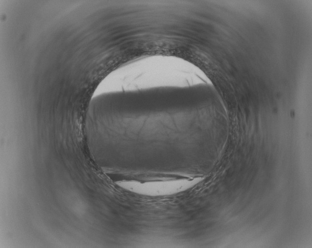 X0000064731013200603131248