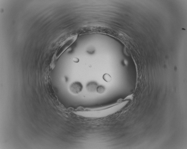 X0000064731014200603131248