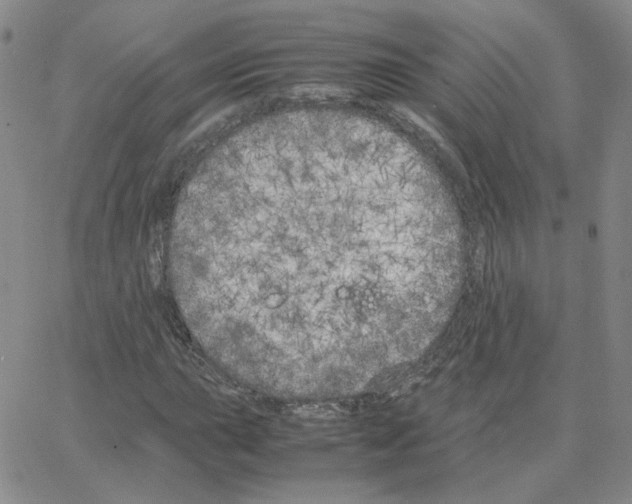 X0000064731015200603131248