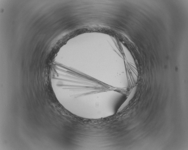 X0000064731016200603131248