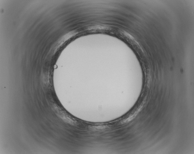 X0000064731017200603131248