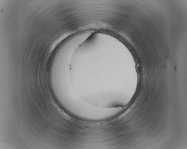 X0000064731018200603131248