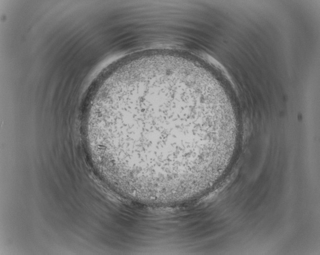 X0000064731019200603131248