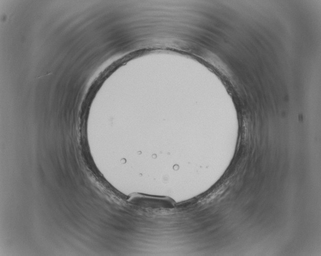 X0000064731020200603131248