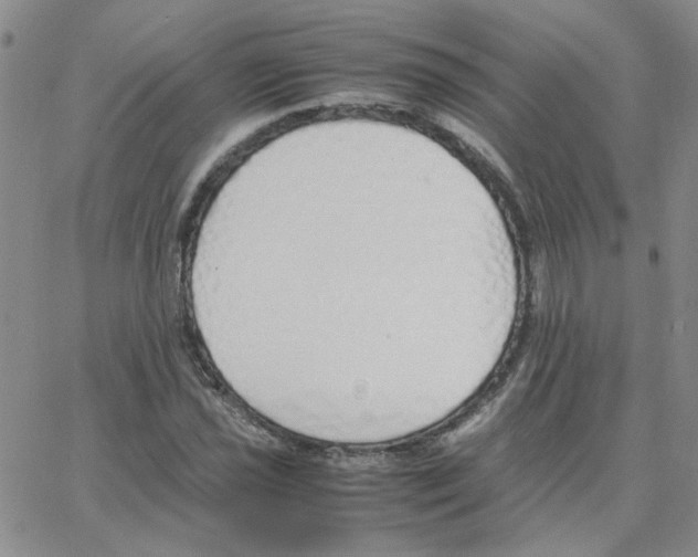 X0000064731021200603131248