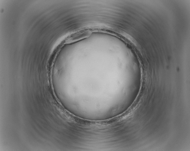 X0000064731022200603131248