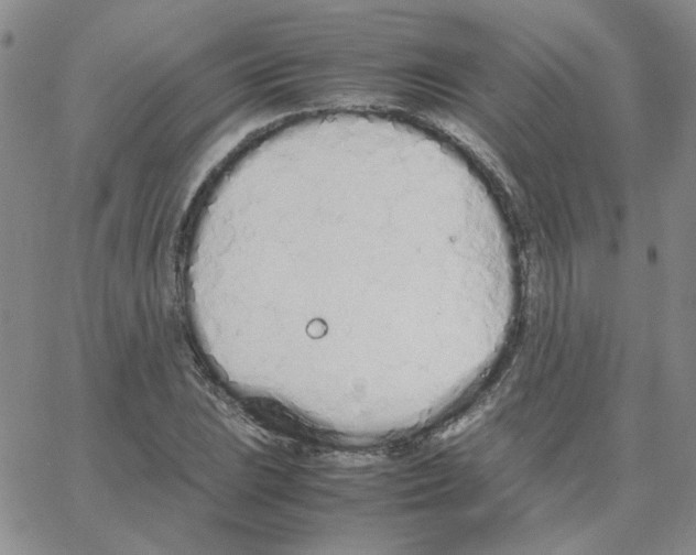 X0000064731023200603131248