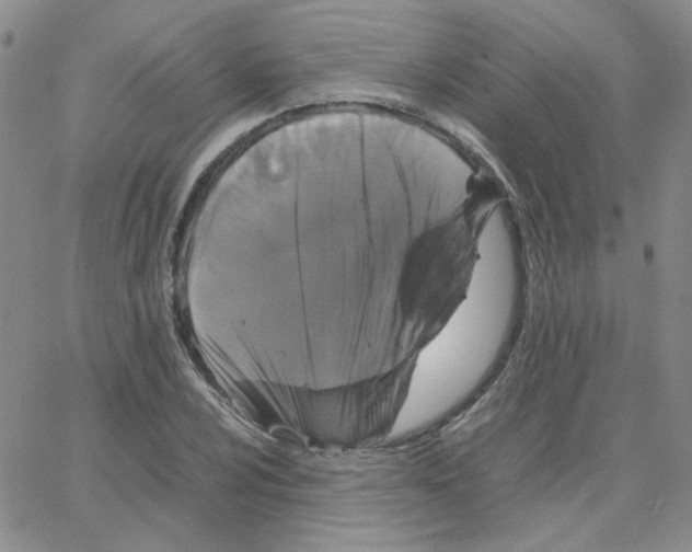 X0000064731024200603131248