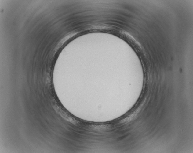 X0000064731025200603131248