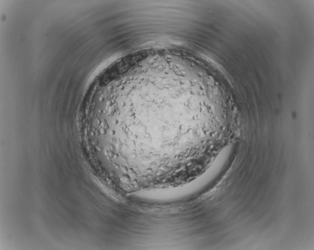 X0000064731026200603131248