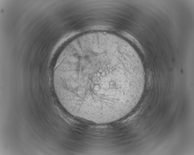 X0000064731027200603131248