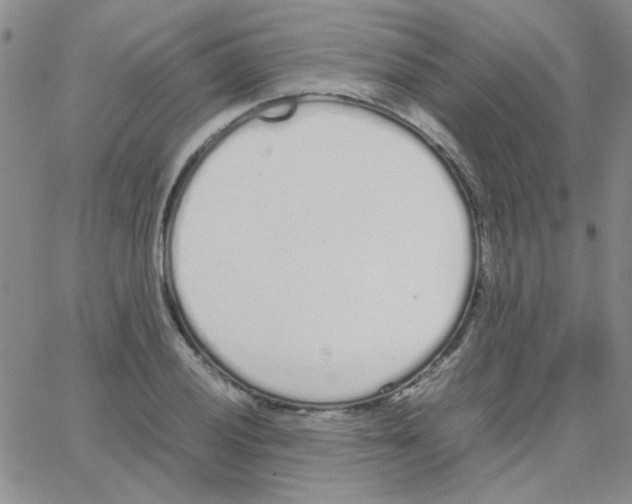 X0000064731028200603131248