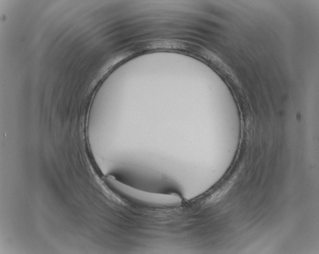 X0000064731033200603131248