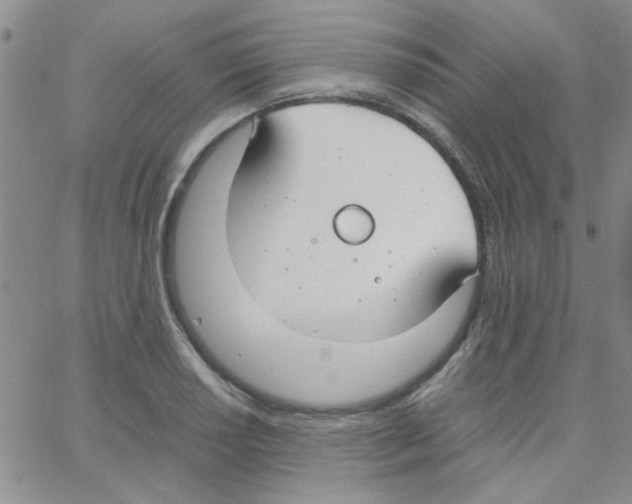 X0000064731034200603131248